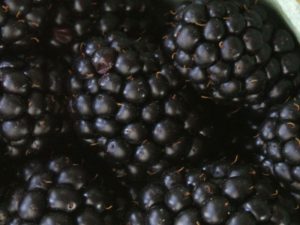 health benefits of blackberries 