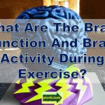 brain function exercise