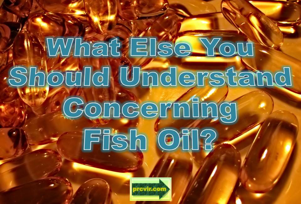 understanding fish oil